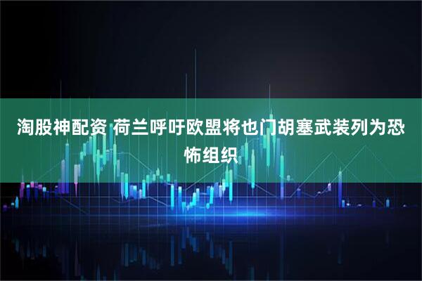 淘股神配资 荷兰呼吁欧盟将也门胡塞武装列为恐怖组织